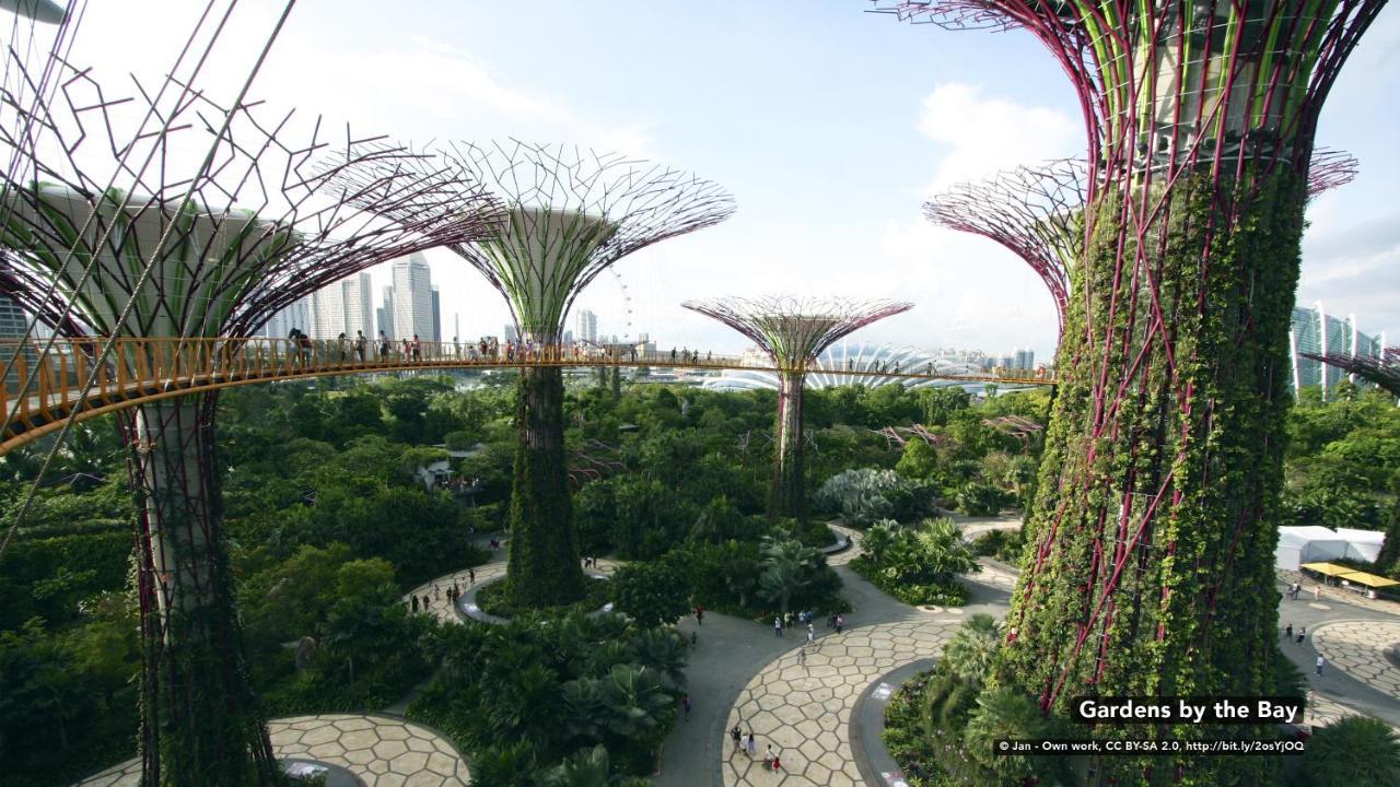 Zen Rooms Balestier Singapore Exteriör bild